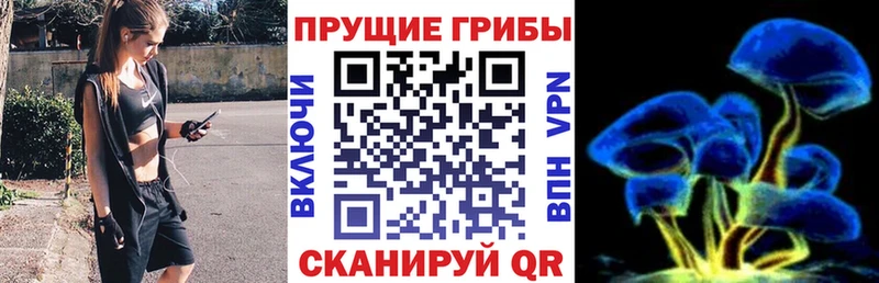 Псилоцибиновые грибы прущие грибы  Купить где  Кемь 